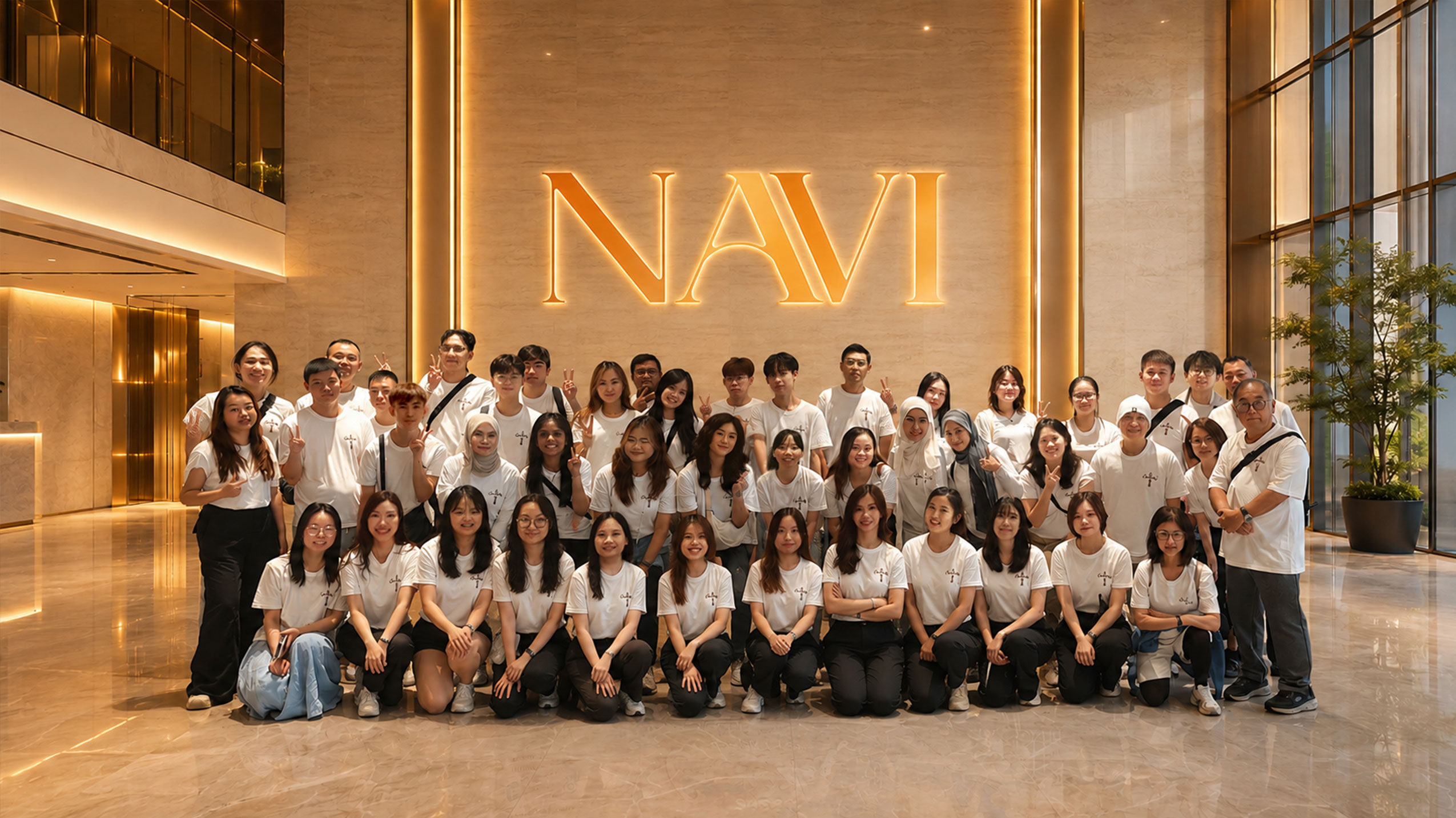 NaVi Consultancy